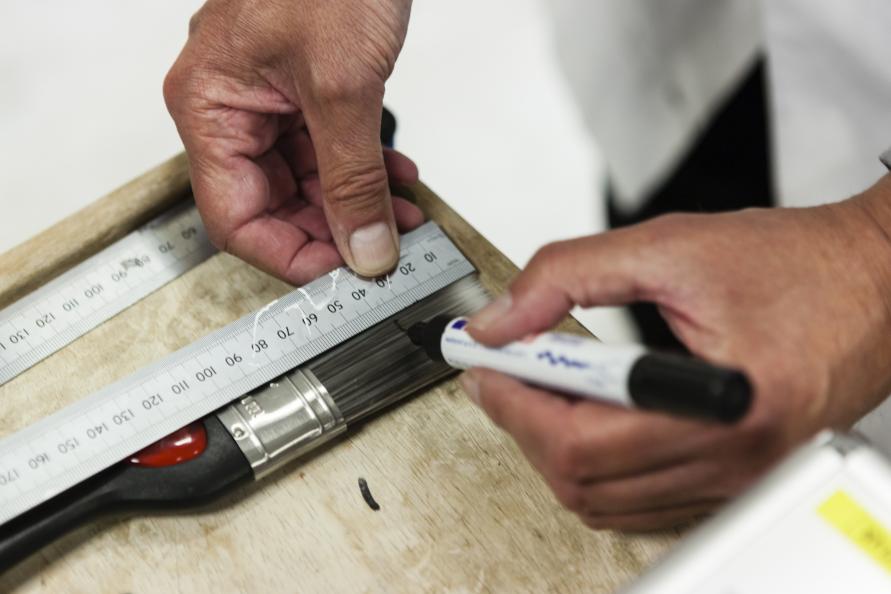 Markering av 50 % av borstens längd inför test av färgupptagning. Foto: Frazer Waller