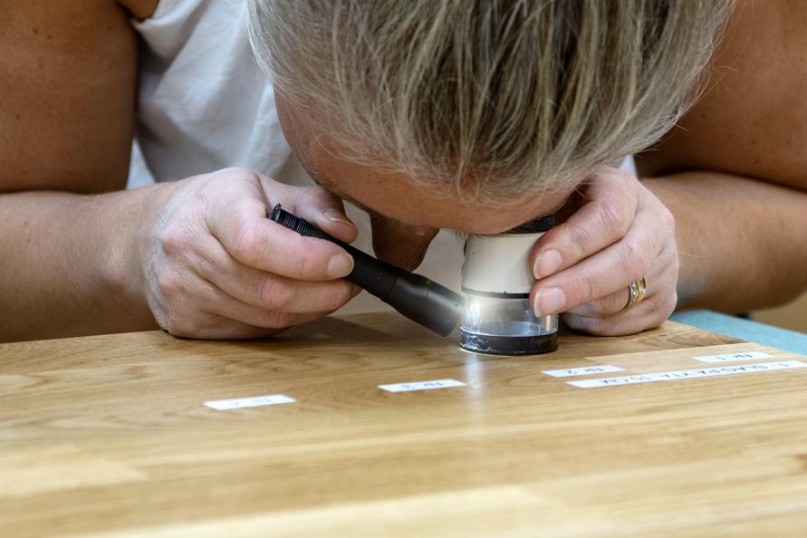 Annika Ahagen på RISE undersöker sprickor i ytlacken efter slagprov. Foto: Anna Sigge