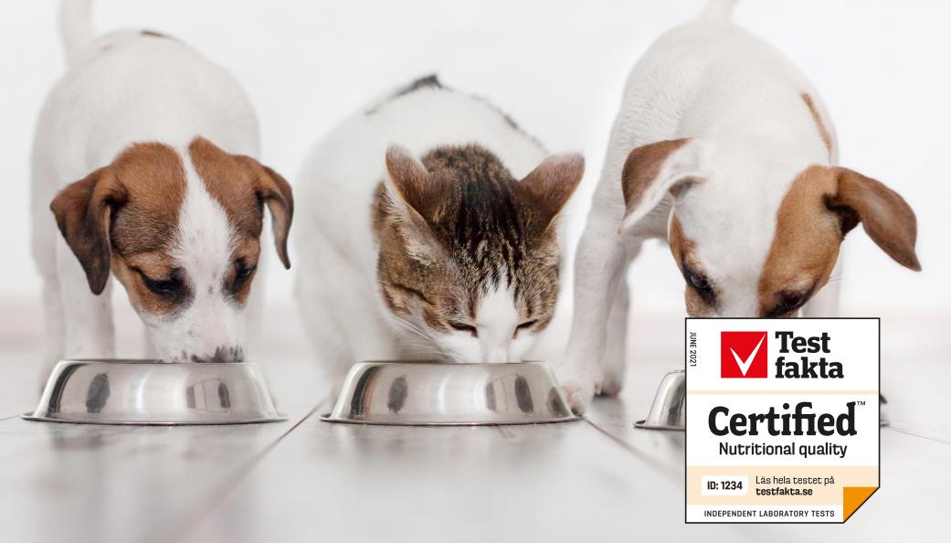 Testfaktas kvalitetscertifiering av hund- och kattfoder säkerställer att fodret är näringsmässigt balanserat och att det ger ett korrekt intag av alla nödvändiga näringskomponenter. Foto: Shutterstock