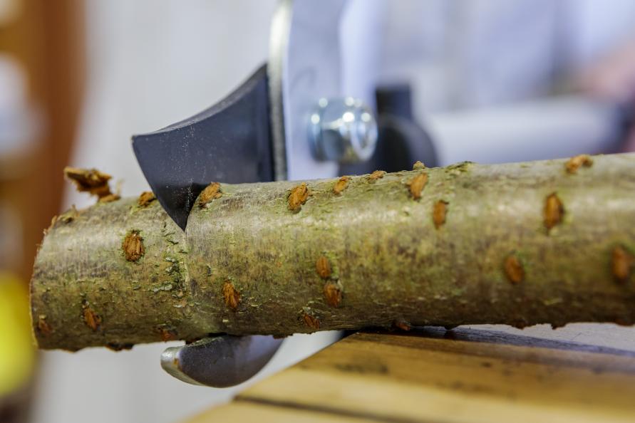 Minst tryckkraft för att skära tjockare pinnar behövdes för testvinnande Fiskars. Foto: Frazer Waller